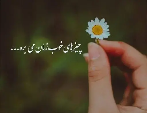 عکس استوری پرمحتوا جدید