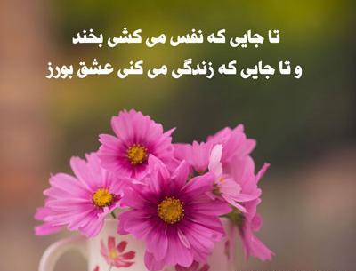 عکس استوری پرمحتوا جدید