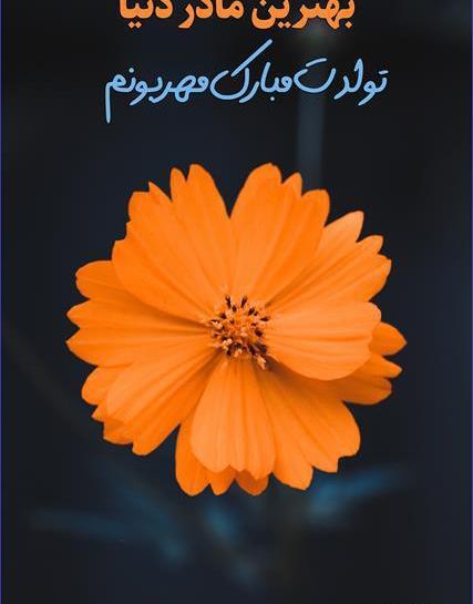 عکس استوری برای مادر تولد