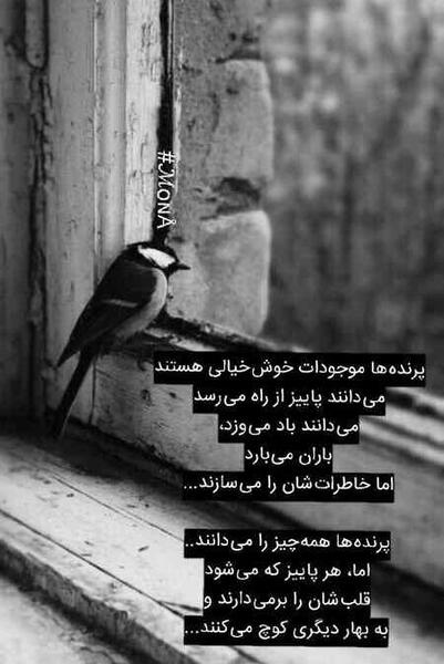 عکس استوری برای واتساپ خنده دار