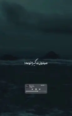عکس استوری آهنگ حامیم