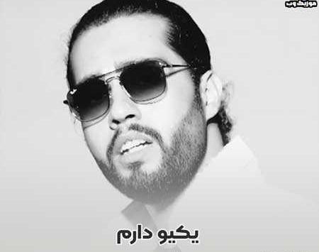 عکس استوری آهنگ حامیم