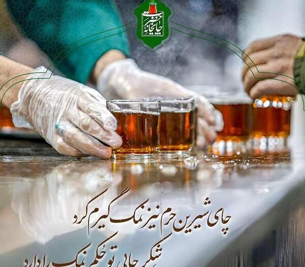 عکس استوری امام رضا دلتنگی