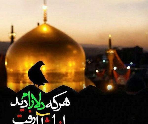 عکس استوری امام رضا دلتنگی