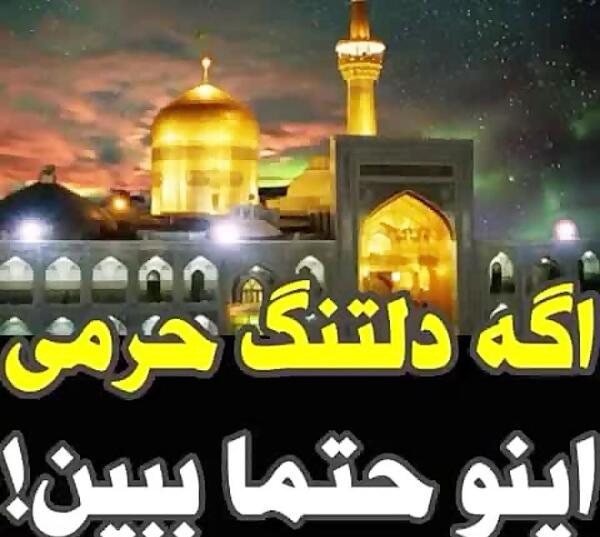 عکس استوری امام رضا دلتنگی