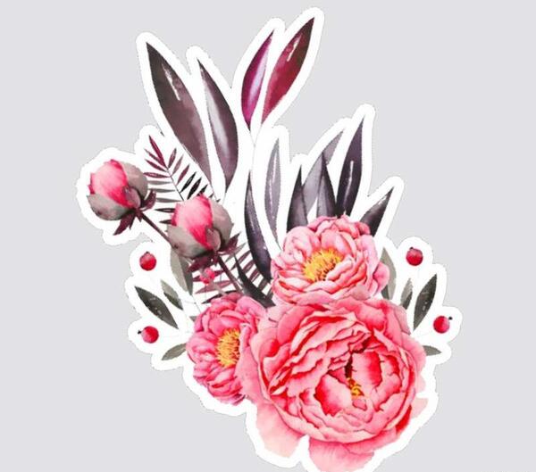 عکس لپ تاپ صورتی دخترانه