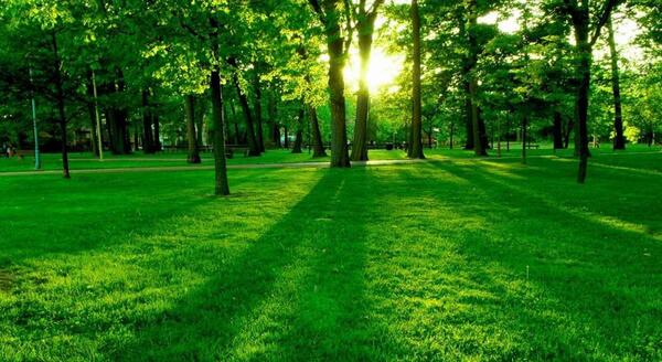 دانلود عکس طبیعت برای لپ تاپ