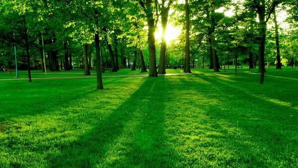 عکس زیبا برای دسکتاپ لپ تاپ