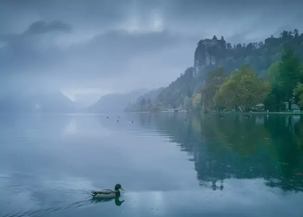 گوشی عکس رمز بازی lac