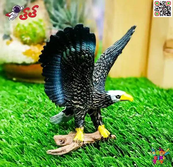 عکس اسباب بازی عقاب