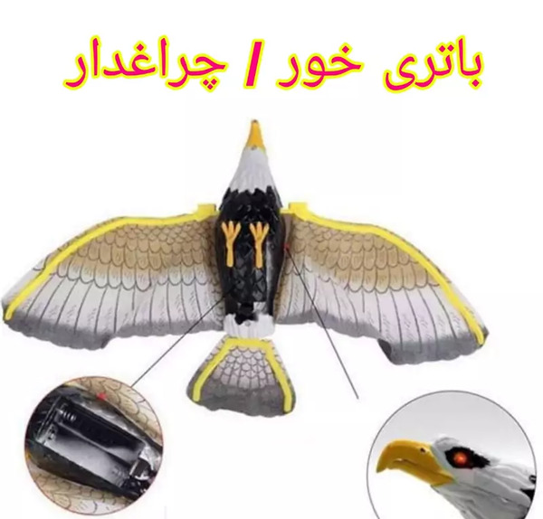 عکس اسباب بازی عقاب