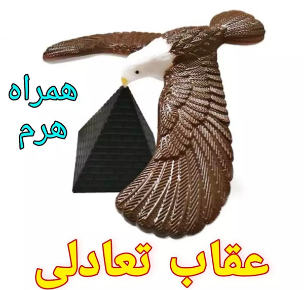 عکس اسباب بازی عقاب