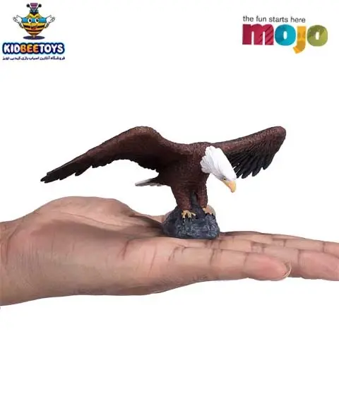 عکس اسباب بازی عقاب تعادلی