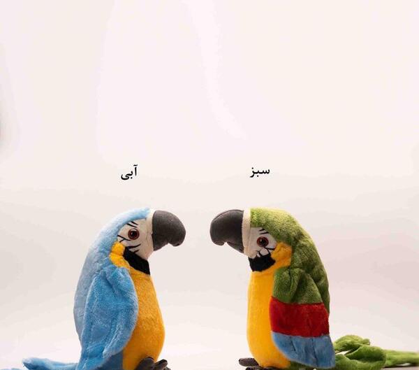 عکس اسباب بازی طوطی سخنگو
