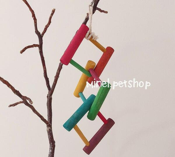 عکس اسباب بازی طوطی سخنگو