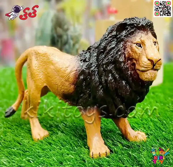 عکس بازی شیری