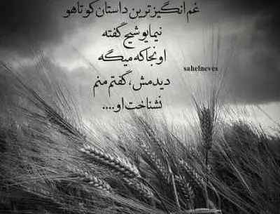 عکس خواننده درسته بازی خوبه