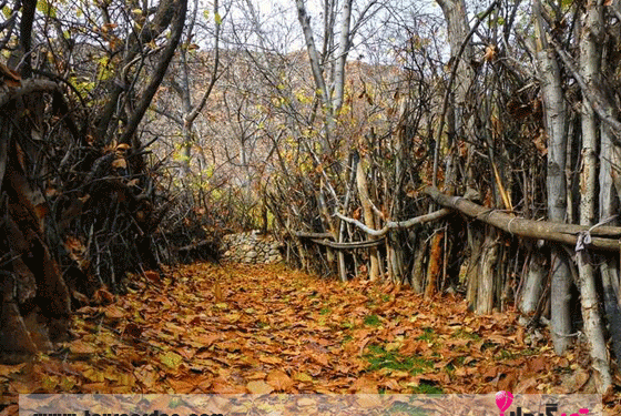 عکس شیراز جاهای دیدنی دشتک فارس