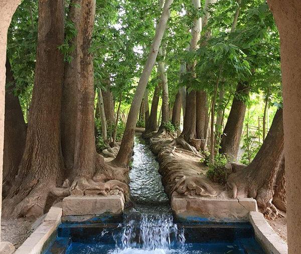 عکس جاهای دیدنی یزد در بهار