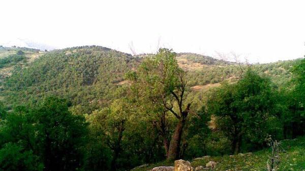عکس جاهای دیدنی یاسوج در تابستان