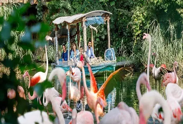 عکس جاهای دیدنی شهر هانوفر