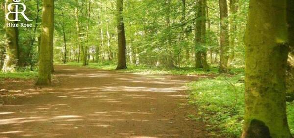 عکس جاهای دیدنی شهر هانوفر
