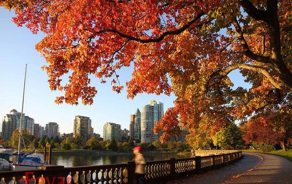 عکس جاهای دیدنی نورث ونکوور