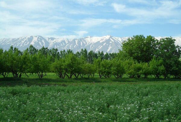 عکس جاهای دیدنی گاماسیاب نهاوند
