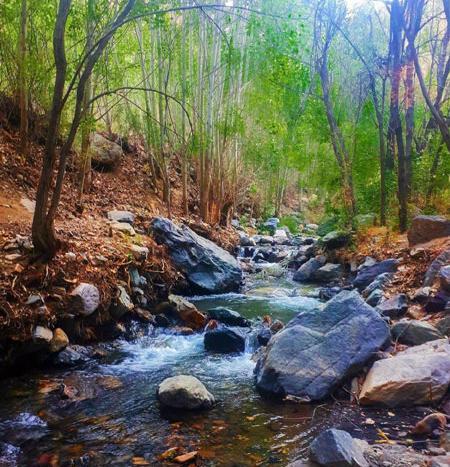 گردشگری جاهای دیدنی نیشابور همراه با عکس