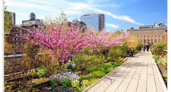 عکس جاهای دیدنی نیویورک آمریکا
