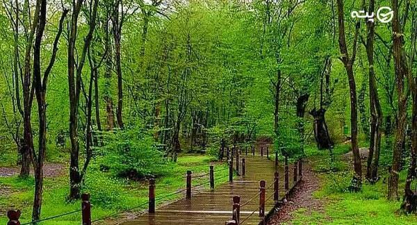 عکس جاهای دیدنی گیلان مازندران