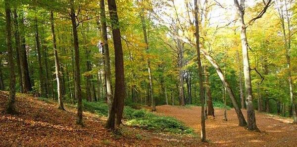 عکس جاهای دیدنی گلستان در تابستان