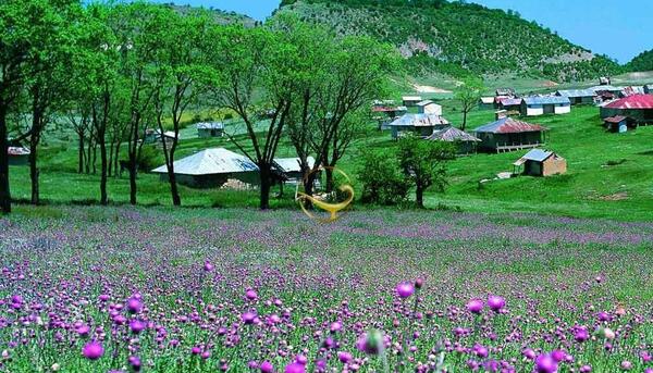 عکس جاهای دیدنی گلستان در تابستان
