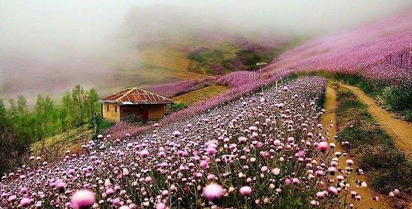 عکس جاهای دیدنی گیلانی