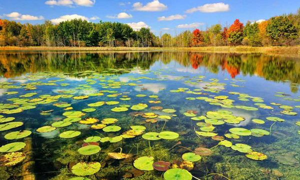 عکس جاهای دیدنی گیلانی