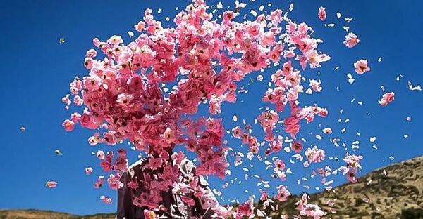 عکس جاهای دیدنی کاشان قمصر
