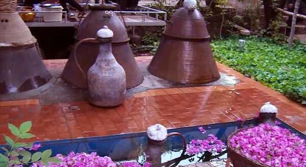 عکس جاهای دیدنی کاشان در زمستان