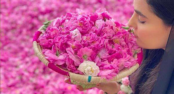 عکس جاهای دیدنی کاشان گلاب گیری