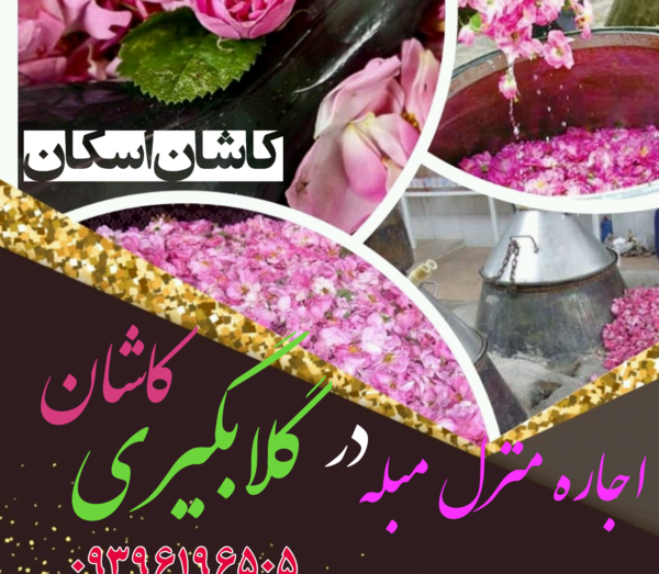 عکس جاهای دیدنی کاشان گلاب گیری