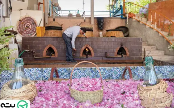عکس جاهای دیدنی کاشان گلاب گیری