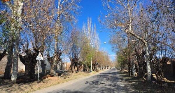 عکس جاهای دیدنی باغستان فردوس