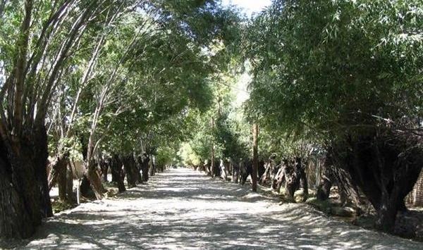 عکس جاهای دیدنی باغستان فردوس