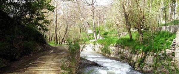 عکس جاهای دیدنی باغستان فردوس