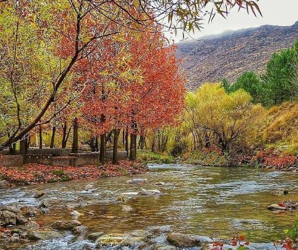 عکس جاهای دیدنی قلات در شیراز
