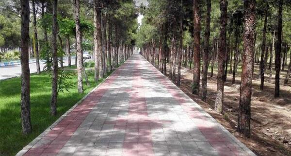 عکس جاهای دیدنی غرق آباد ساوه