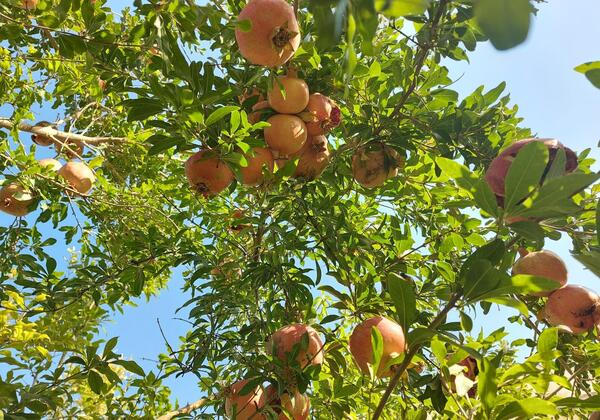 عکس جاهای دیدنی غرق آباد ساوه