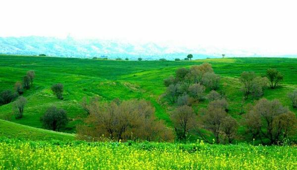 عکس جاهای دیدنی شهرستان گیلان غرب