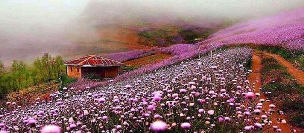 عکس جاهای دیدنی شمال غرب ایران