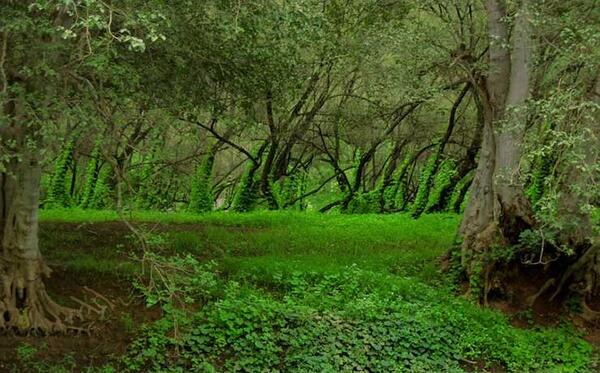 عکس جاهای دیدنی در عمان