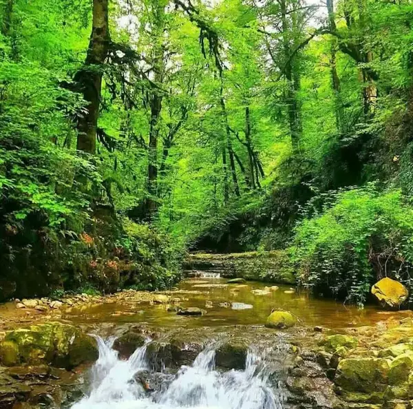 عکس جاهای دیدنی عباس آباد کلاردشت